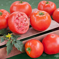 Goliath Tomato Live Plants (2) - Solanum lycopersicum | 6–10" Large Red Slicer, Heirloom, Disease-Resistant