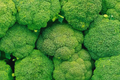 Broccoli Seeds | Non-GMO Heirloom Variety | Fresh Garden Seeds | Brassica oleracea