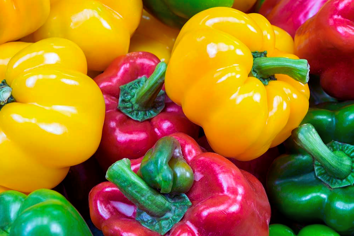California Wonder Sweet Bell Pepper Seeds | NON-GMO | Heirloom Variety | Capsicum annuum