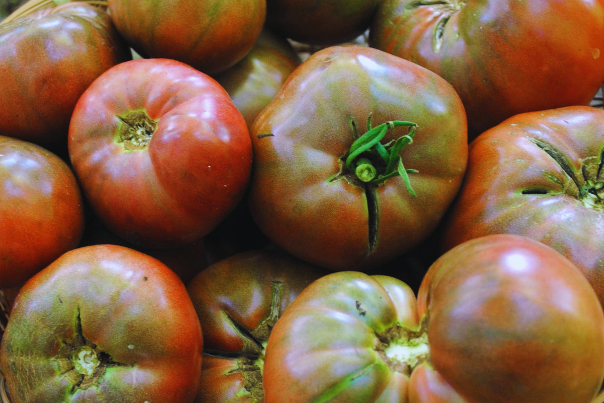 Cherokee Purple Tomato Seeds | Non-GMO Heirloom | Solanum lycopersicum | Organic Gardening