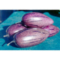 Purple 'Stripey' Pepino Melon Cuttings (Solanum muricatum) – 6 Unrooted