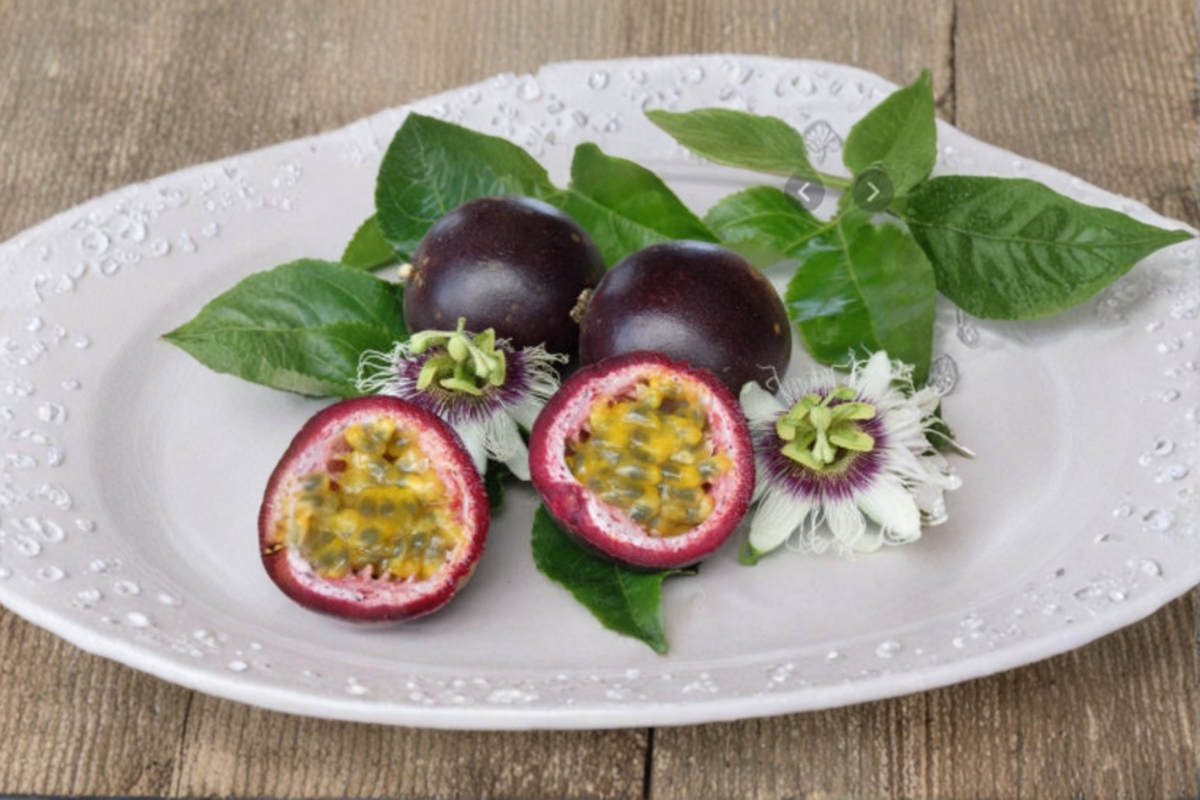 Dwarf Passionfruit Seeds - 10 Seeds for Trellis & Outdoor Growing