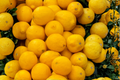 Meyer Lemon Tree Live Dwarf Citrus Plant - 3-4 ft, Grafted Fruit Tree in 4x4x14 in Nursery Pot