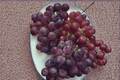 Red Flame Seedless Grape Vine - 3 Gal Live Plant (Vitis vinifera)