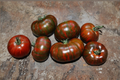 Chocolate Stripe Tomato Seeds – Mahogany Heirloom (10 Seeds) for Outdoor Garden