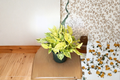 Pothos Snow Queen Live Plant | Variegated Epipremnum aureum Cutting or Starter Plant