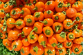 Aji Chinchi Amarillo Pepper Live Plants - 3 Established Starter Plants (75+ Days Old)