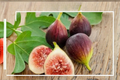 Violette de Bordeaux Fig Seeds - 40 Fresh Seeds for Container & Indoor/Outdoor Growing