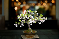 Bonsai Cherry Blossom Tree Seeds Sakura - 10 Seeds, Pink Flowers, Indoor or Outdoor Growing
