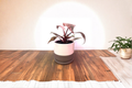 Nordic Glazed Ceramic Planter Pot 4-Inch with Drainage Hole and Removable Saucer