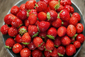 Climbing Strawberry Seeds - 200 Pack for Indoor/Outdoor Growing