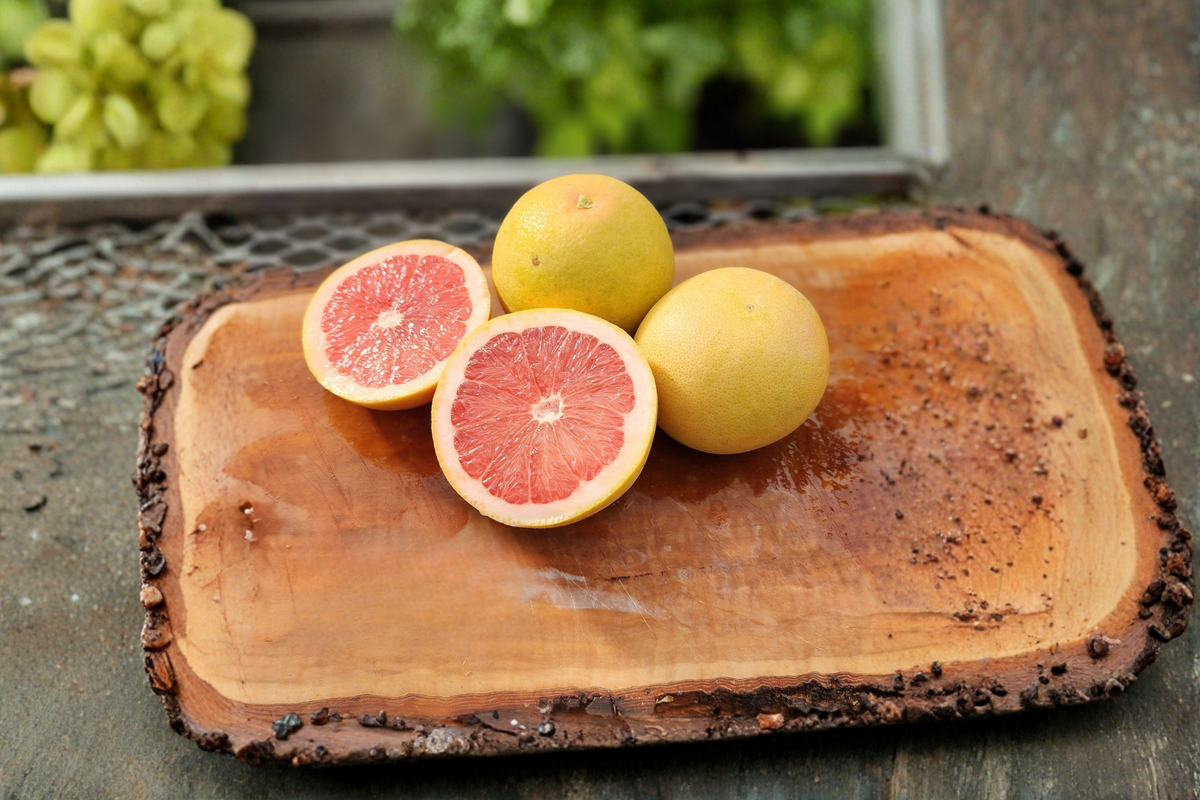 Flame Grapefruit Citrus Tree — 1 Gallon Live Plant, Red Flesh Fruit