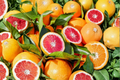 Moro Blood Orange Tree - 3 Gallon Live Citrus Tree | Nearly Seedless, Container Friendly