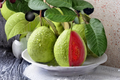 Giant Guava Seeds Psidium guajava - 30 Seeds for Indoor Pot or Outdoor Garden