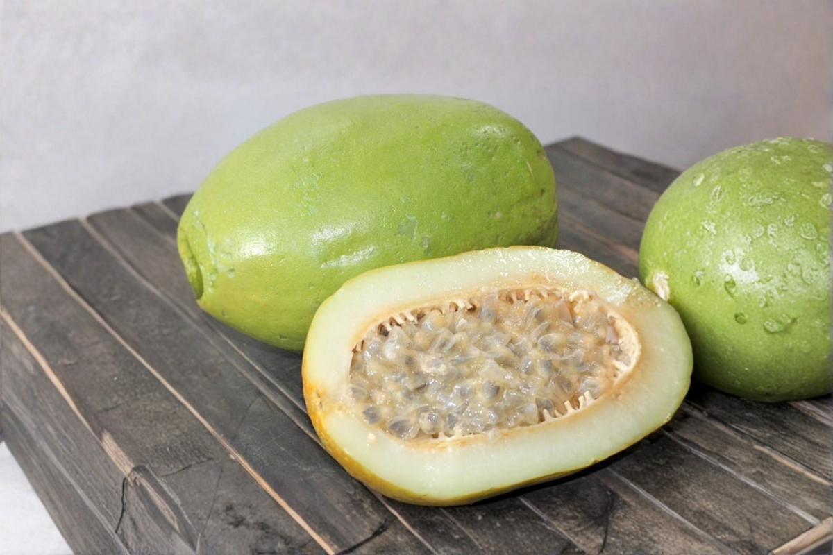 Giant Granadilla Passionfruit Seeds (Passiflora quadrangularis) - 2 Seeds