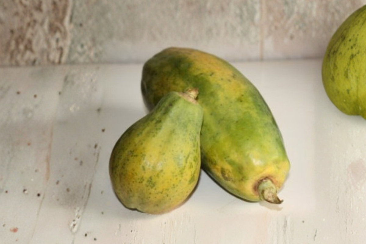 Giant Papaya Seeds - 10 Seed Pack (Carica papaya) Tropical Fruit Plant for Outdoor Garden or Container