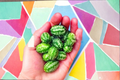 Mouse Cucumber Seeds - 20 Pack Melothria scabra Climbing Edible Vine