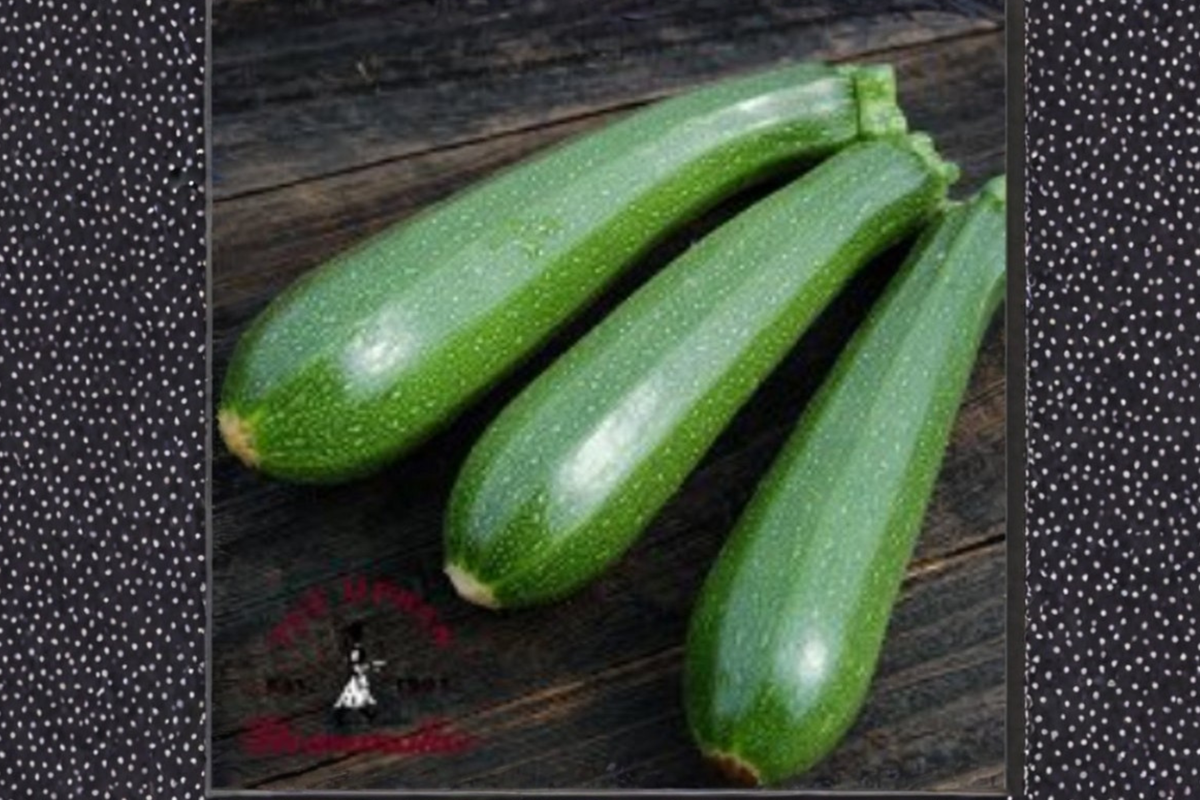 Dwarf Zucchini Seeds - 40 Seed Pack for Container & Small Space Gardens (Cucurbita pepo)