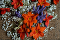 Alabama Jubilee Daylily Bare Root Plants (3) - Hemerocallis Daylily Yellow Orange Perennial