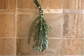 Fresh Eucalyptus Bundle - Shower Hanging Decor, Natural Fragrance