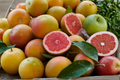 Ruby Red Grapefruit Tree Live Citrus Plant 3-4 ft Tall in 4x4x14 Pot – No CA Ship