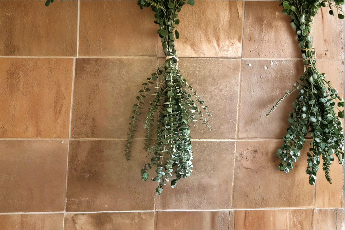 Fresh Eucalyptus Bundle - Bathroom Hanging Decor | Green Fresh Cut Botanical Gift