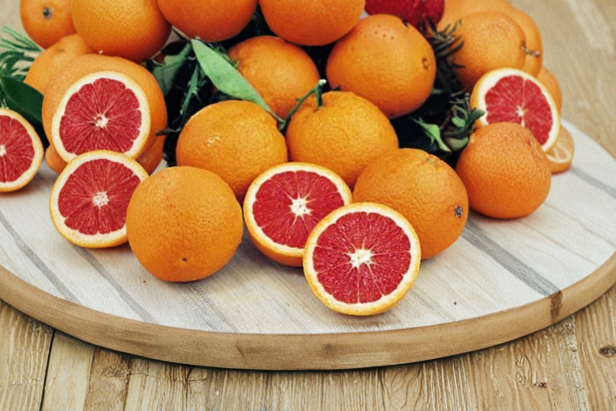 Dwarf Red Navel Orange Tree - Air Layered Live Citrus Plant ~2 Ft Tall (No CA Shipping)