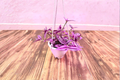 Tradescantia Pink Paradise Live Plant - Rooted Starter | 4.5" Pot