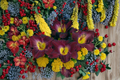 Daylily Strutters Ball Bare Root Plants – 3 Pack