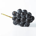 6 Unrooted Japanese Kyoho Grape Cuttings | Vitis vinifera x V. labrusca, Sweet Giant Fruit