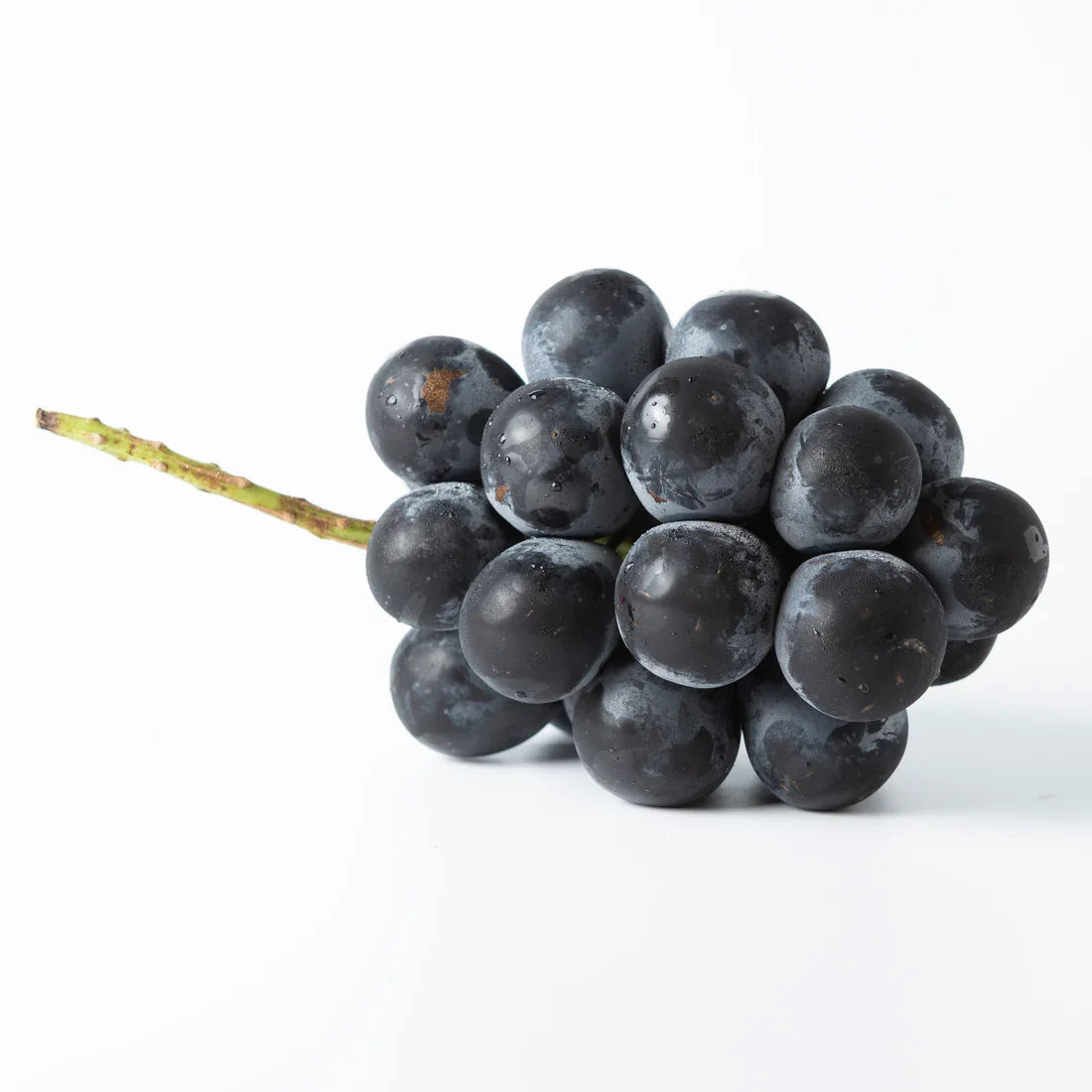 6 Unrooted Japanese Kyoho Grape Cuttings | Vitis vinifera x V. labrusca, Sweet Giant Fruit