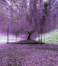 Wisteria sinensis - 10 Unrooted Purple Cuttings, Hardy Fast-Growing Climbing Vine