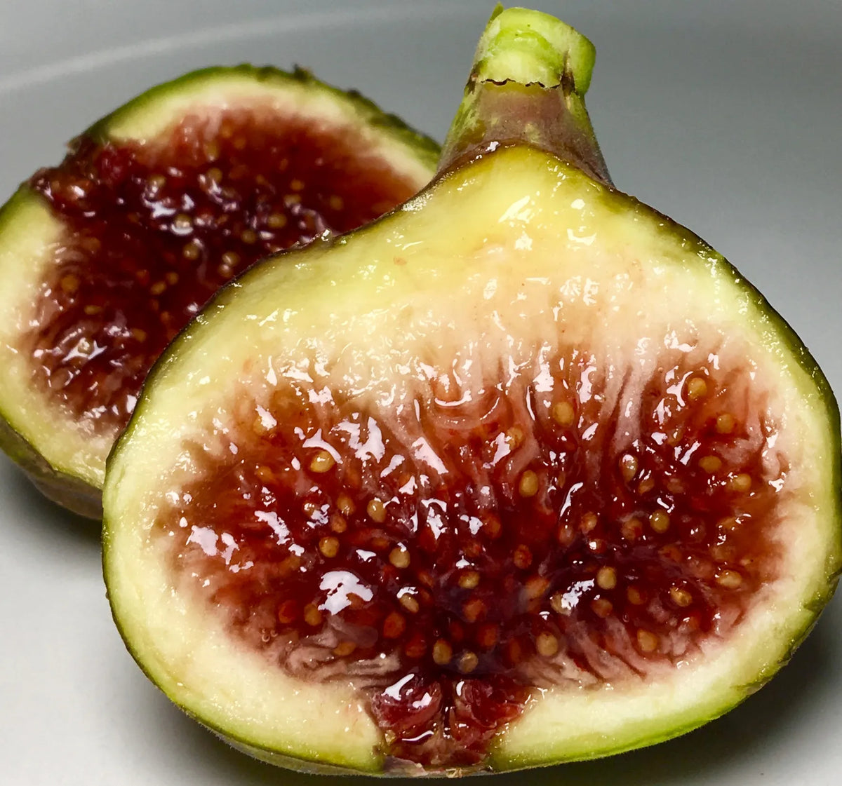 Smith Fig Tree Cuttings (2 × 6–8") – Unrooted, Organic, Heirloom Louisiana Fig