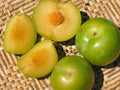Emerald Pluot Scion Cuttings - Unrooted 3–6" Grafting Wood (5 Count)