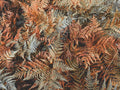 Brilliance Autumn Fern Dryopteris erythrosora 'Brilliance' - 3 Rooted Starter Plants in 1 Qt Pots