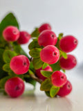 Proud Berry Coral Berry Live Plant - 4 inch Pot | Symphoricarpos 'Proud Berry'