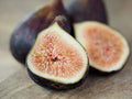 Olympian Fig (Ficus carica) Live Plant | 1 Quart Grow Bag
