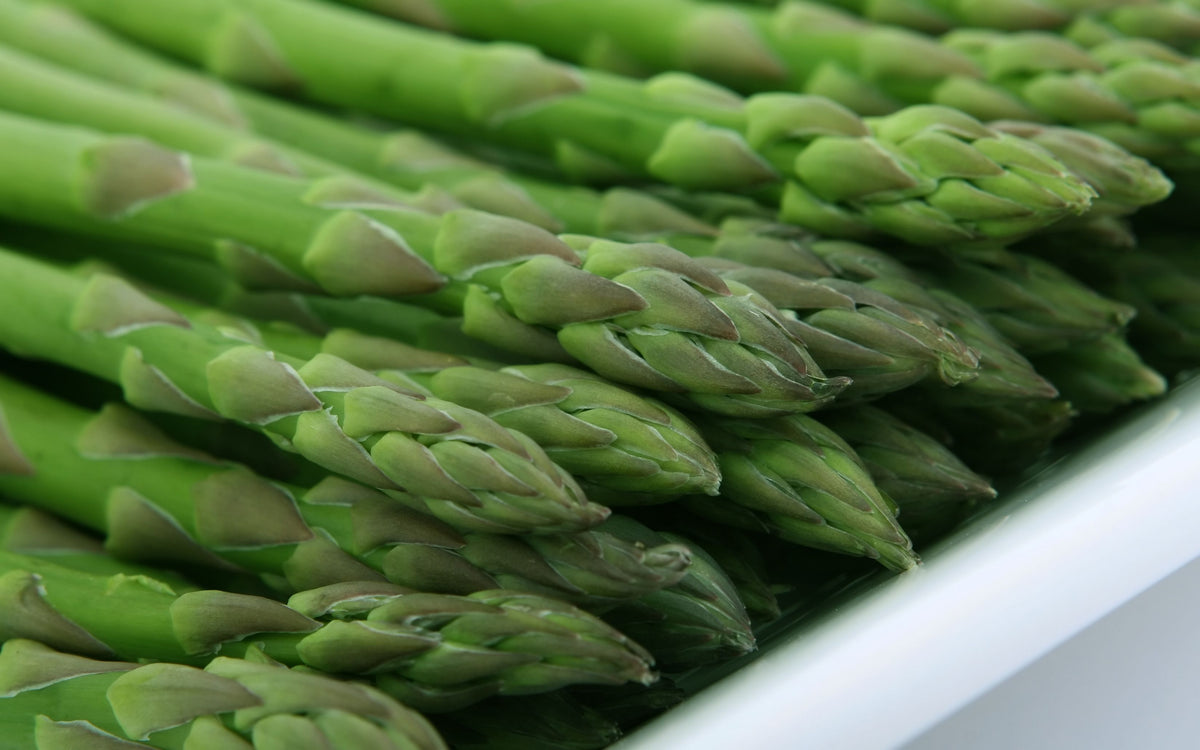 Millennium Asparagus Bare-Root Crowns (5) – 2-Year-Old Live Plants, Dormant