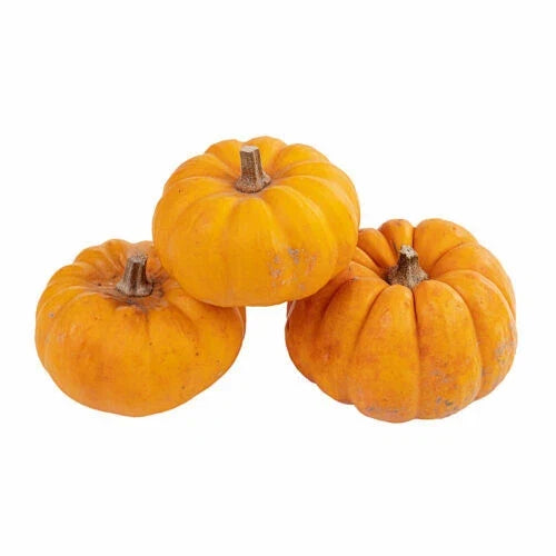 25+ Jack Be Little Pumpkin Seeds for Garden Planting - Cucurbita pepo - Heirloom Variety - USA Grown - Perfect for Fall Decor