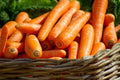 Carrot Seeds - Brilliance Variety - Beta Carotene, Vitamin A - NON-GMO - Free Shipping