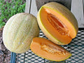 Jumbo Cantaloupe Seeds - Heirloom Melon Variety - 40+ HALES - Ideal for Summer Garden - Cucumis melo