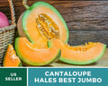 25+ Hales Best Jumbo Cantaloupe Seeds - Large Heirloom Organic Non-GMO - Cucumis melo