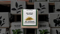 Seed Bombs - MR. SANDMAN™ Variety for Erosion Control in Arid Zones & Deserts - Bad Apples