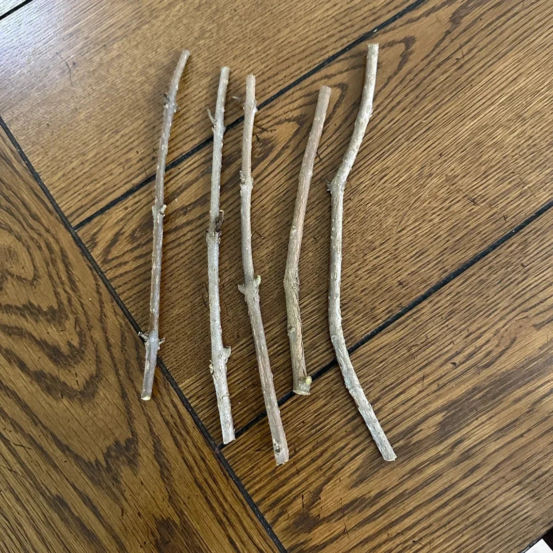 American Beautyberry Cuttings (Callicarpa americana) – 12 Unrooted Live Starter Cuttings