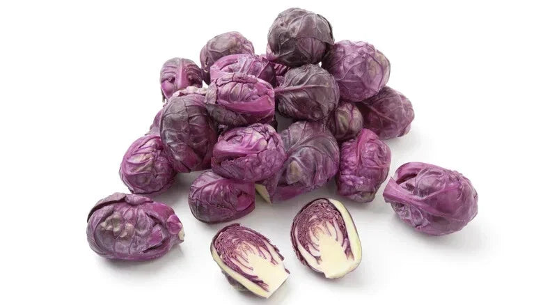Redarling Brussels Sprouts Seeds - 500+ Count - Non-GMO for Garden Planting - Brassica oleracea