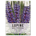 Wild Perennial Lupine Seeds for Planting - Lupinus perennis - Blue Flowering Native Plant Seeds