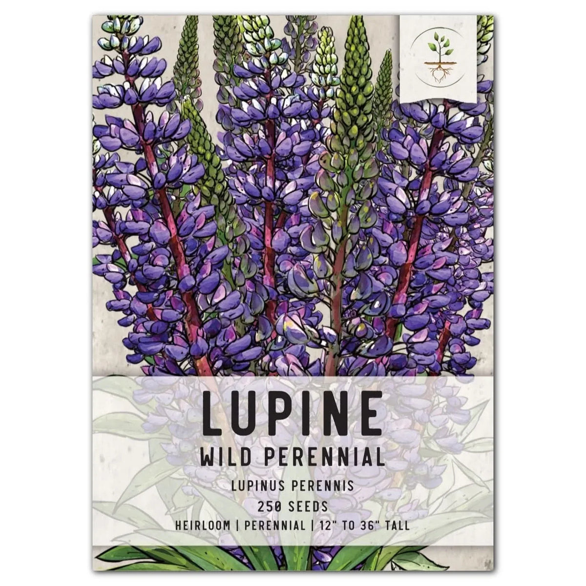 Wild Perennial Lupine Seeds for Planting - Lupinus perennis - Blue Flowering Native Plant Seeds