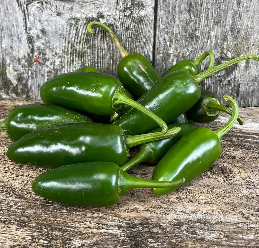 Jalapeno Pepper Seeds - Heirloom Non-GMO - Early Variety - Capsicum annuum