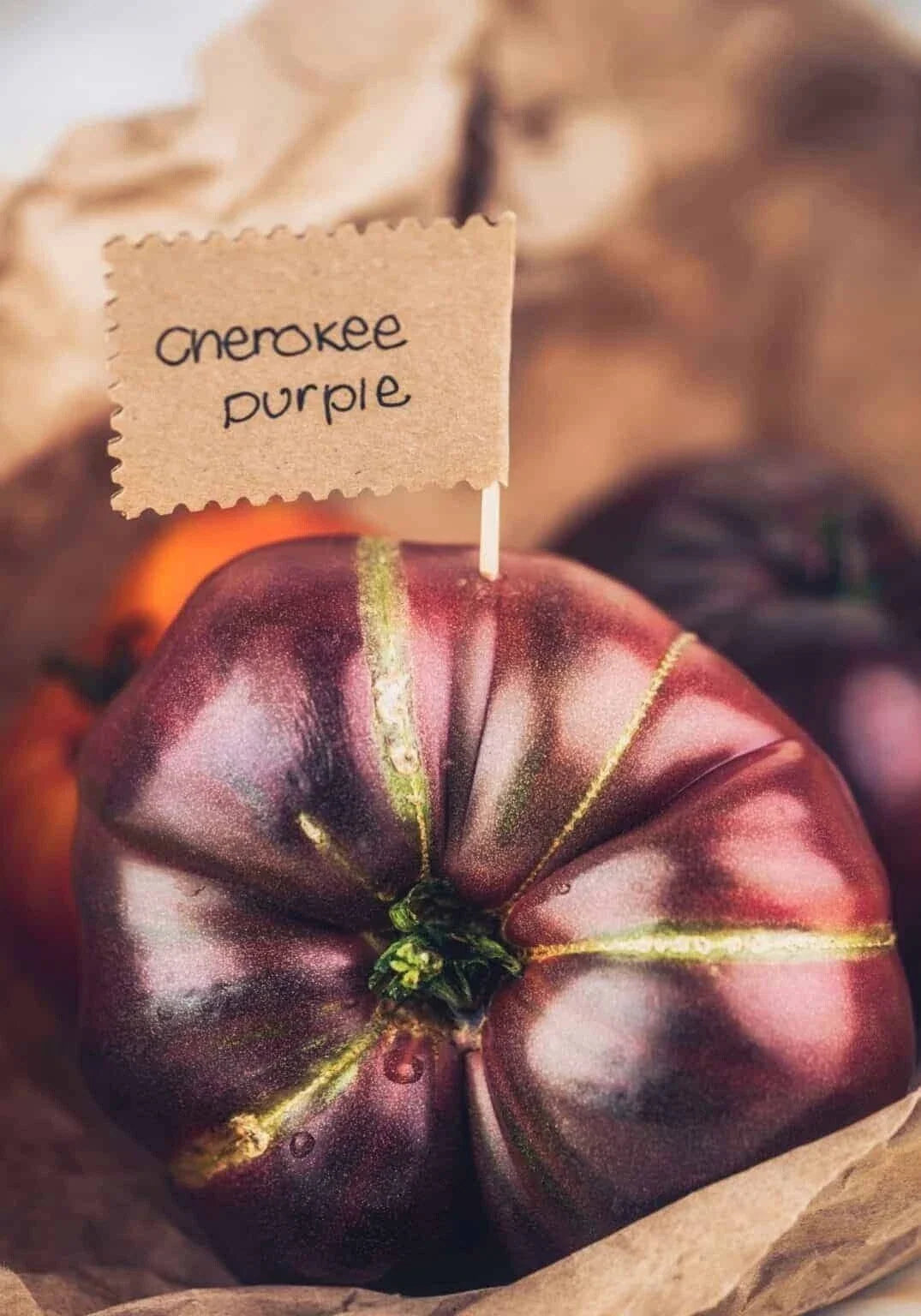 Cherokee Purple Tomato Seeds - 10+ Heirloom Non-GMO Organic - Fresh - Solanum lycopersicum