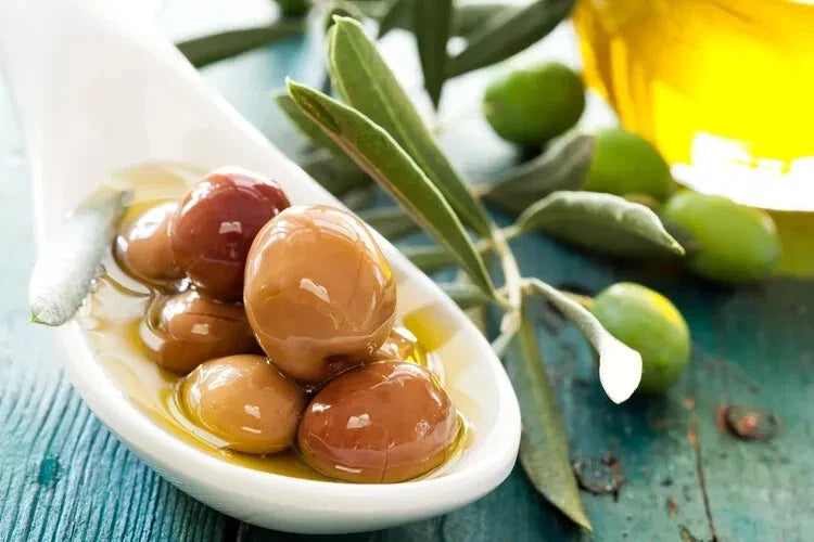 Arbequina Olive Seeds - 10+ Pack - Spanish Variety - Olea europaea - Ideal for Home Garden Planting - Fast Shipping USA